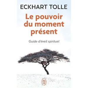 Livre développement personnel_0012_Le pouvoir du moment présent